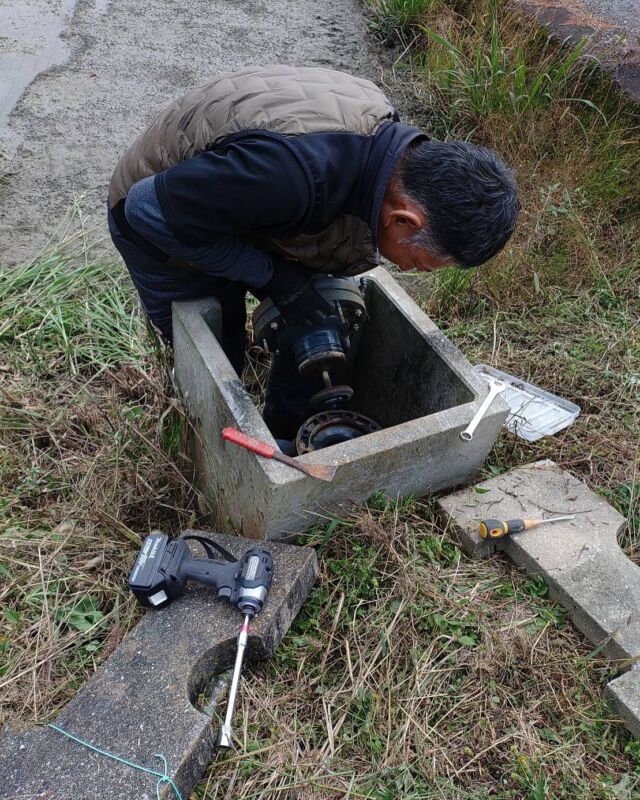 🌾
田んぼの給水栓の水漏れ箇所交換作業🪛
田んぼに水の入らない稲作農閑期の今のうちに
やっておかないといけない作業です🧑‍🌾
◇◇◇◇◇◇◇◇◇◇◇◇◇◇◇◇◇◇◇◇◇◇
#とくしま有機農業サポートセンター
#小松島有機農業サポートセンター
#コープ自然派 
#コープ自然派しこく 
#田んぼ